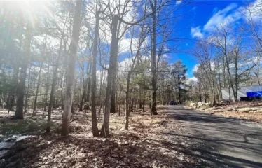 Treetops Trl Lot 1811, Bloomingburg, NY 12721