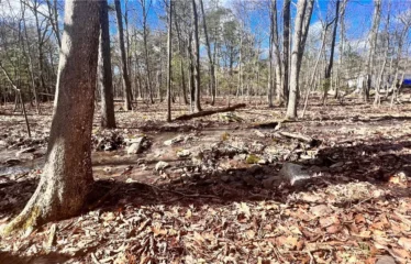 Treetops Trl Lot 1811, Bloomingburg, NY 12721